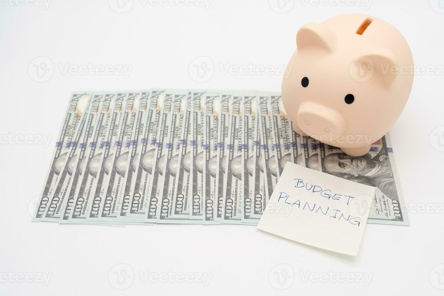 Money budget planning. Piggy bank with Dollars. financial goal concept. Finance and business concept. isolated background. photo