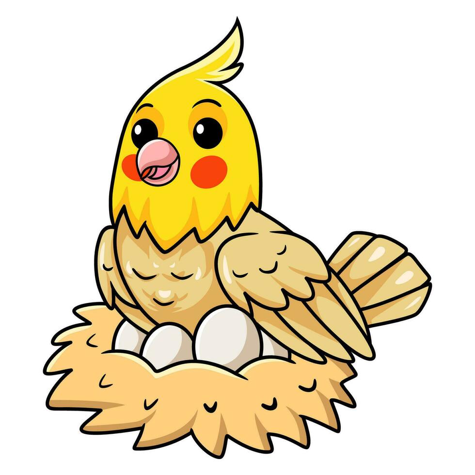 Cute lutino cockatiel bird cartoon with eggs in the nest vector