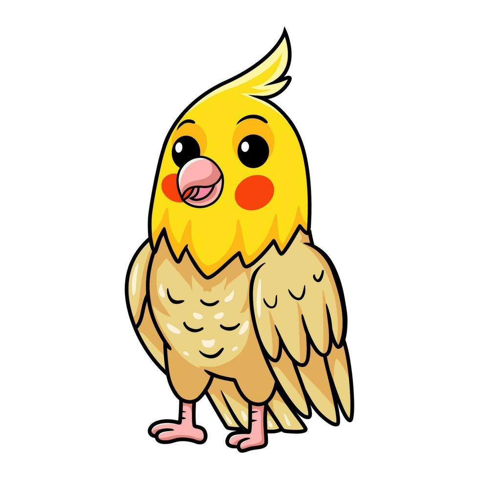 Cute lutino cockatiel bird cartoon vector