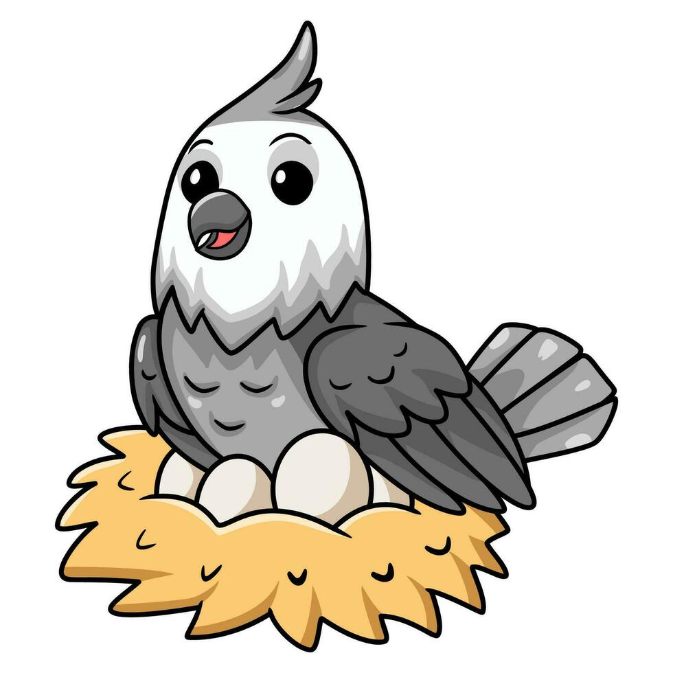 Cute whiteface cockatiel bird cartoon with eggs in the nest vector