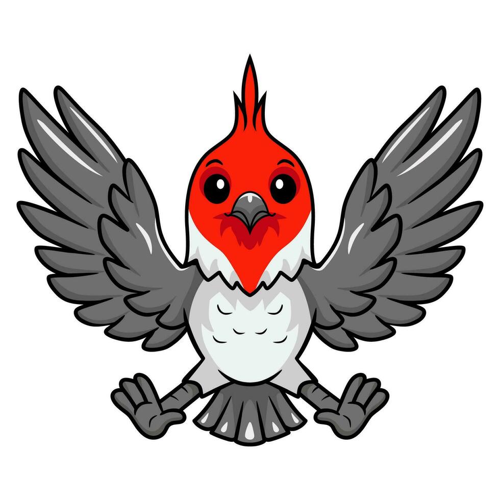 Cute red crested cardinal bird cartoon vector