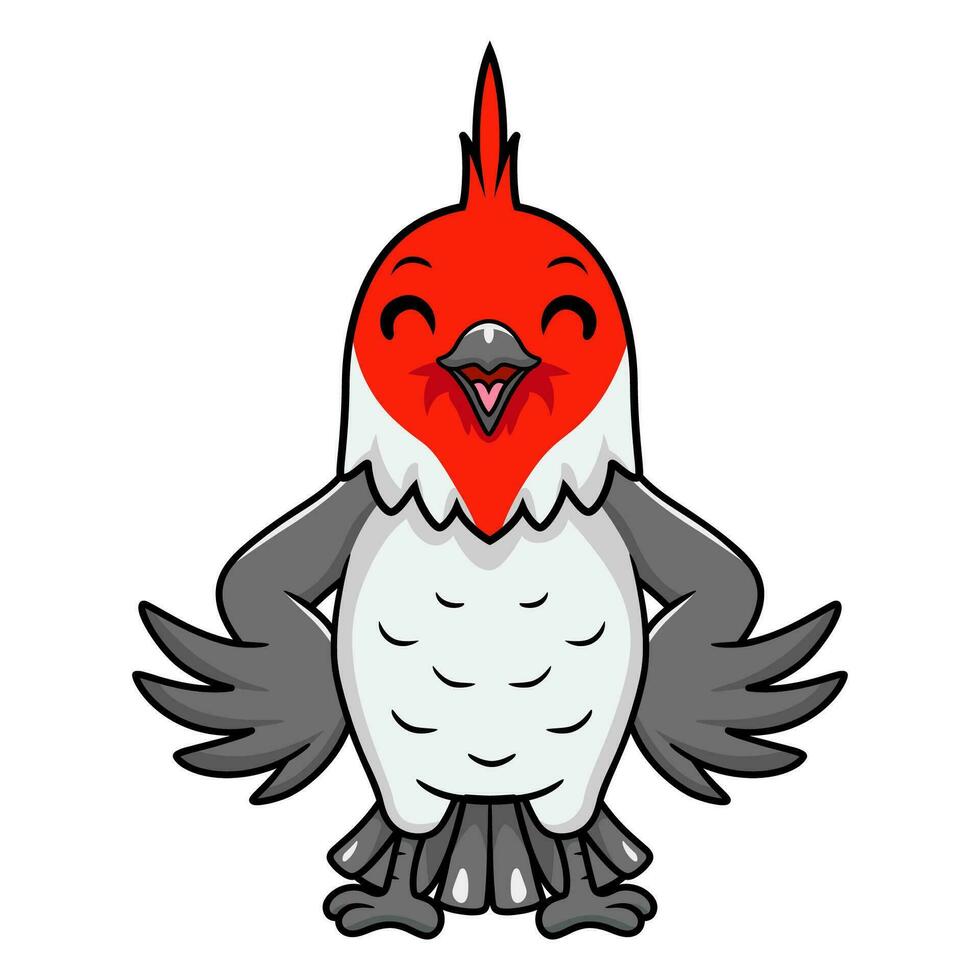 Cute red crested cardinal bird cartoon vector