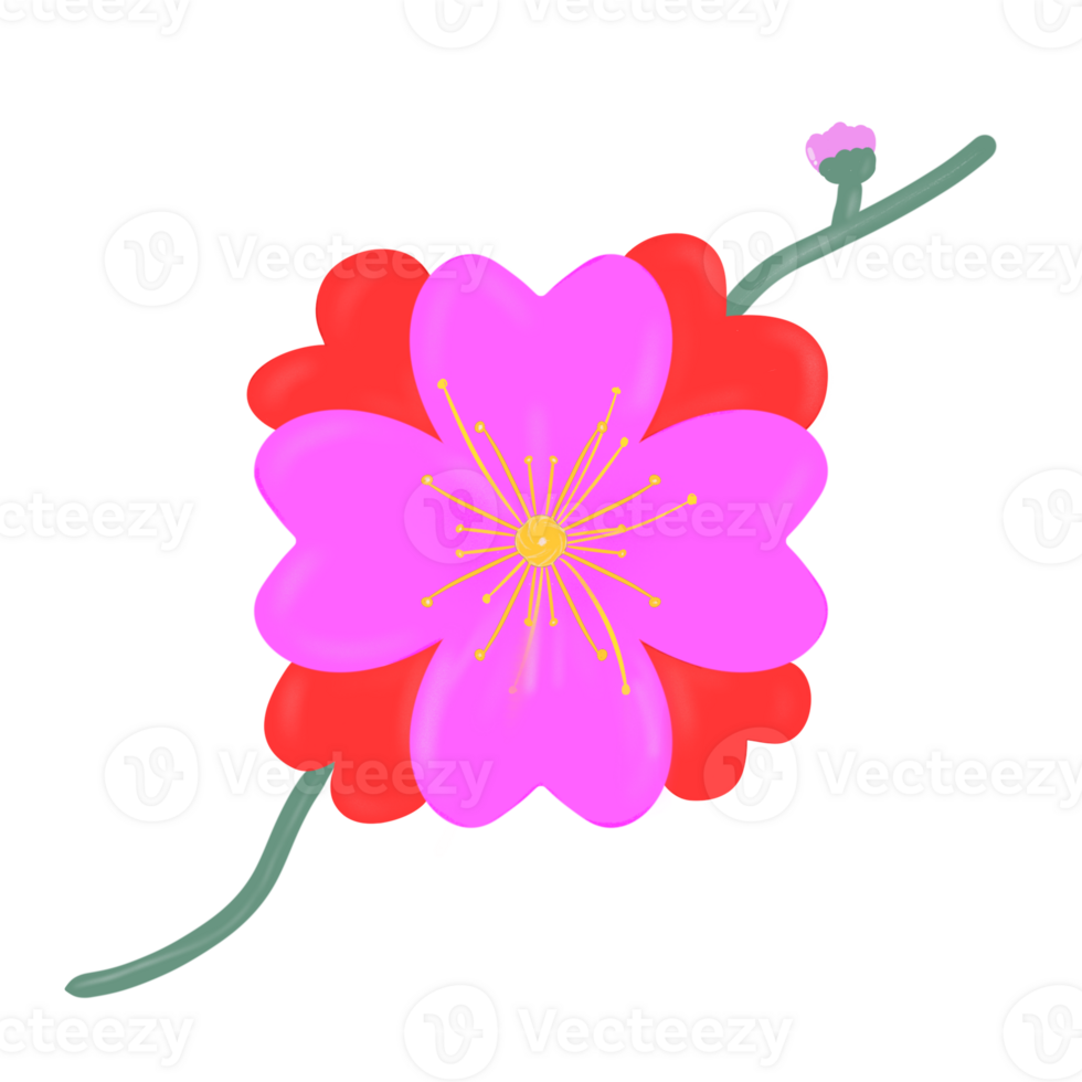 Pink Sakura Flowers png