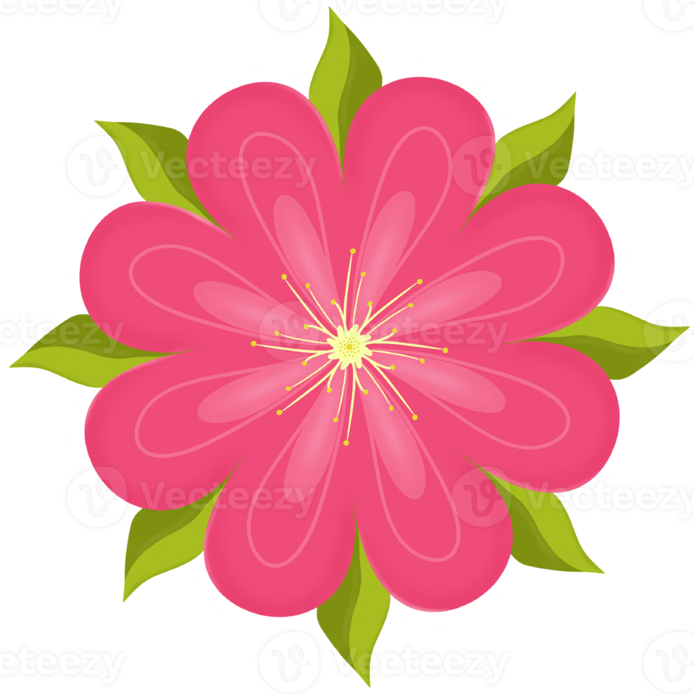 Colorful shade flower blossom png