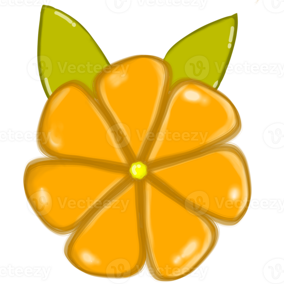 Orange Sakura flower for illustration png