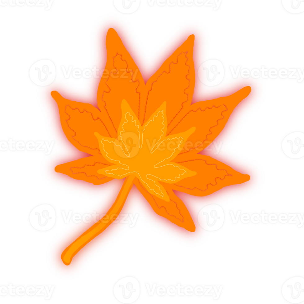 Maple leaf in autumn season png