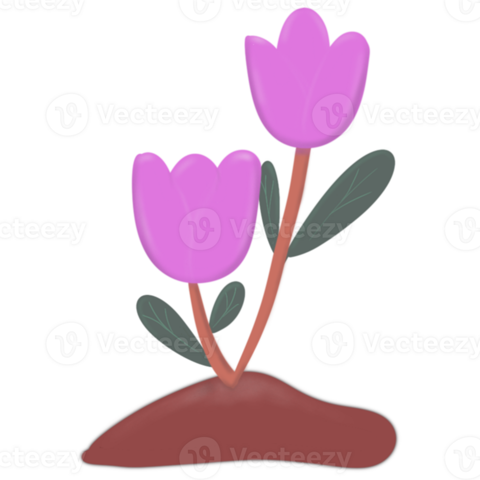 Pink flowers growing png