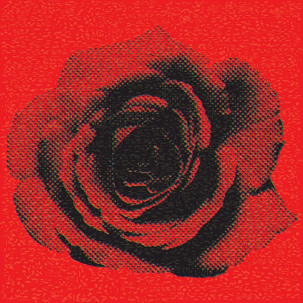Rose flower halftone screen CMYK colors overlap transparent with riso print effect vector illustration on red background. Valentine's day greeting card template.