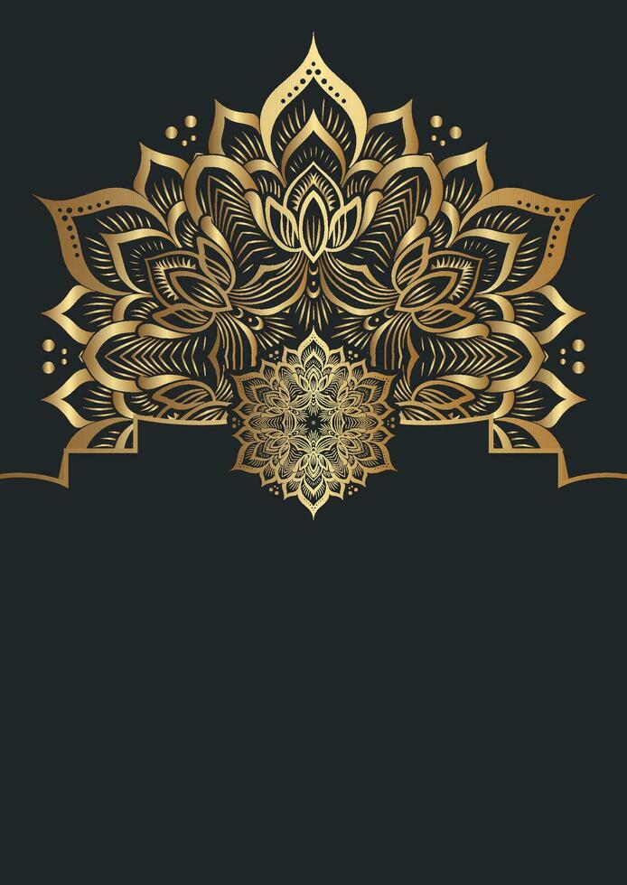 elegant decorative mandala design vector