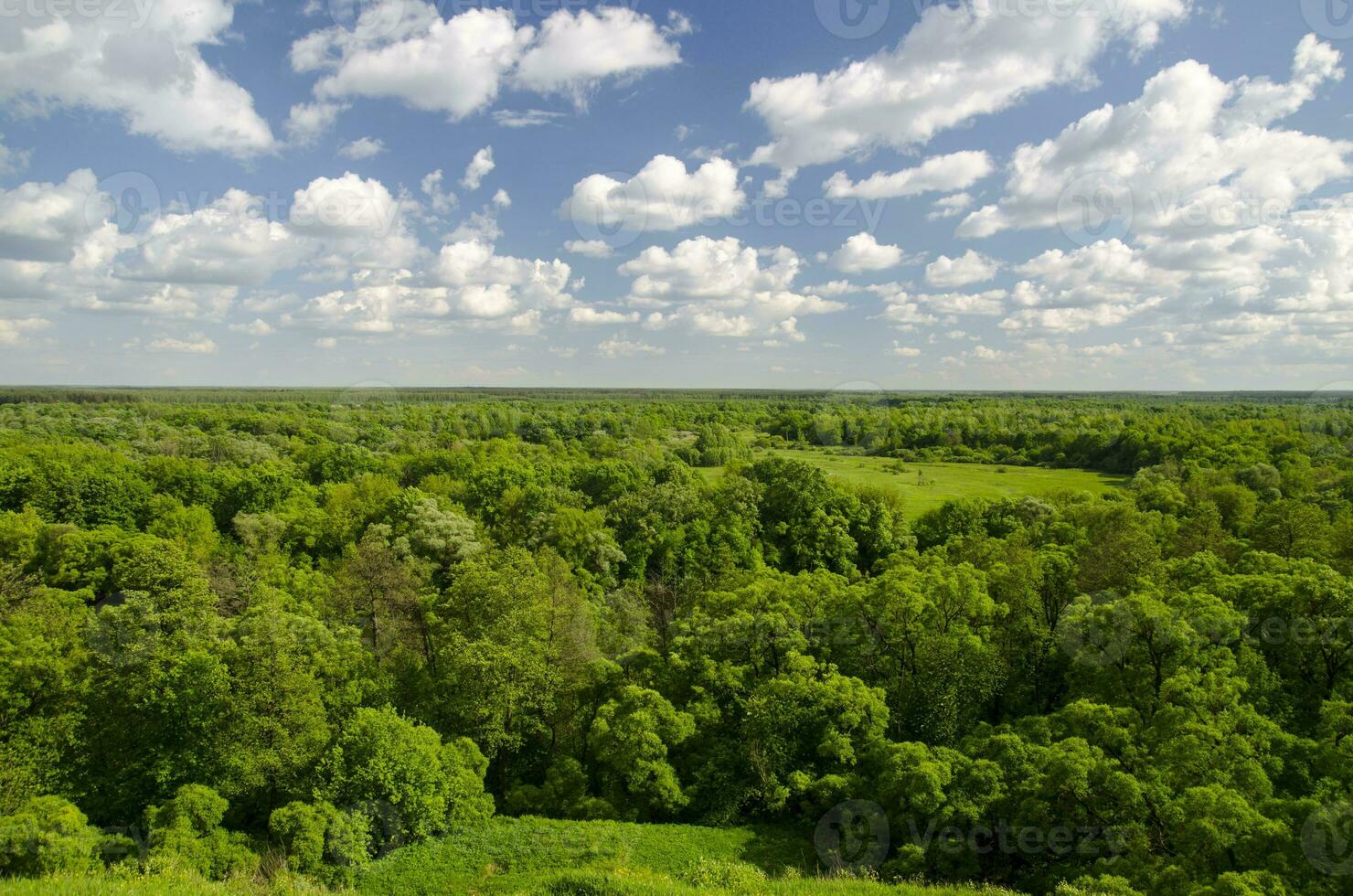 White clouds over green forest photo