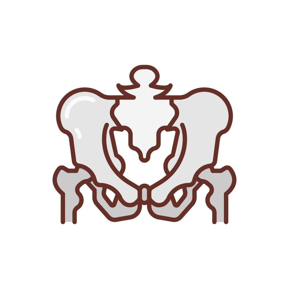 Pelvis icon in vector. Illustration vector