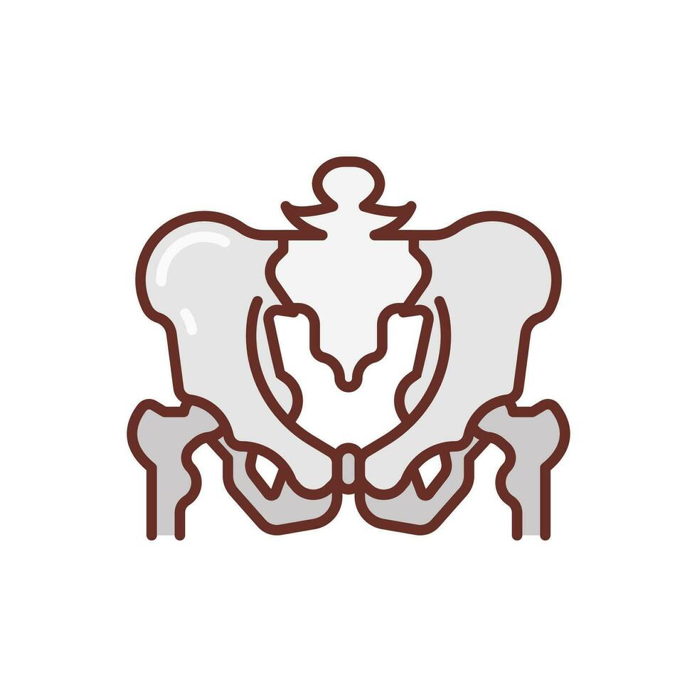 pelvis icono en vector. ilustración vector