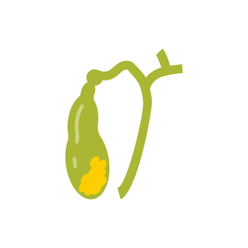 Gallbladder icon in vector. Illustration vector