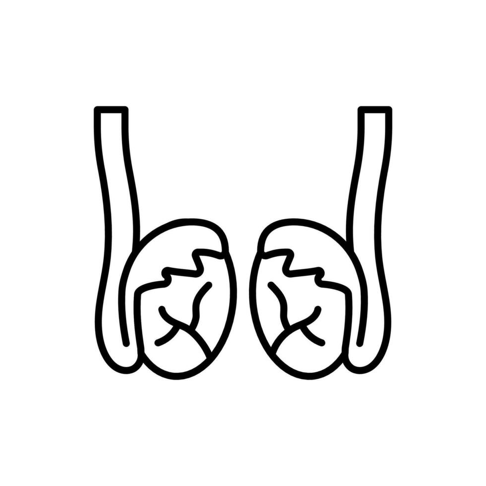 Testicles icon in vector. Illustration vector