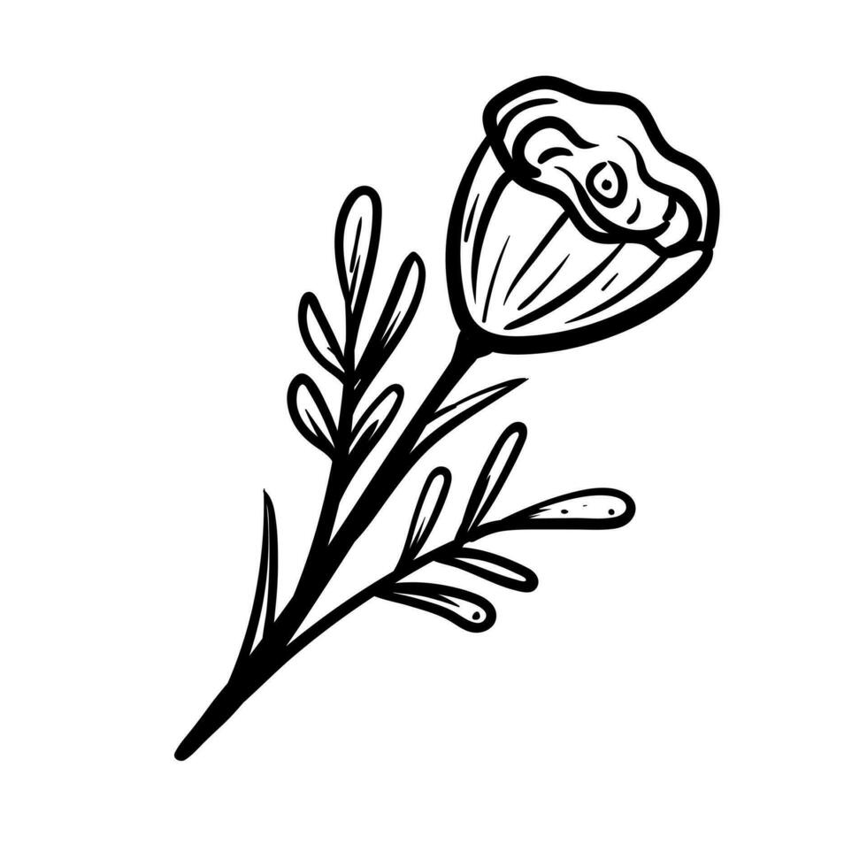 floral línea sencillo naturaleza para belleza marca de moda contorno símbolos para móvil aplicaciones y sitio web diseño. prima paquete de íconos en de moda línea estilo. vector