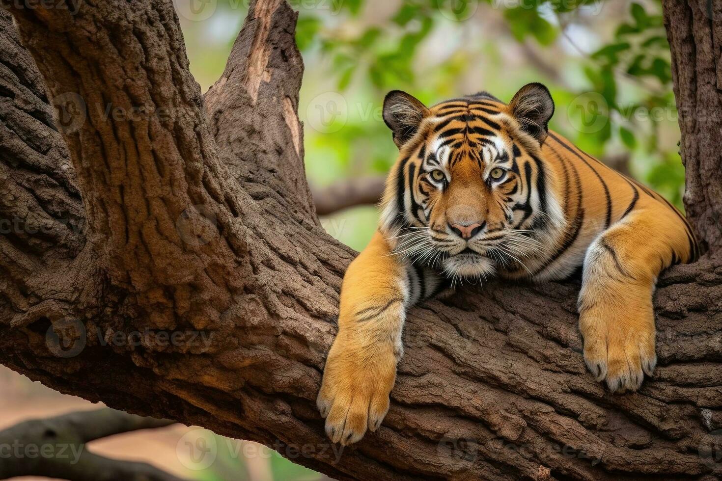 Sumatran Tiger lying on the tree in the wild nature. AI generative photo