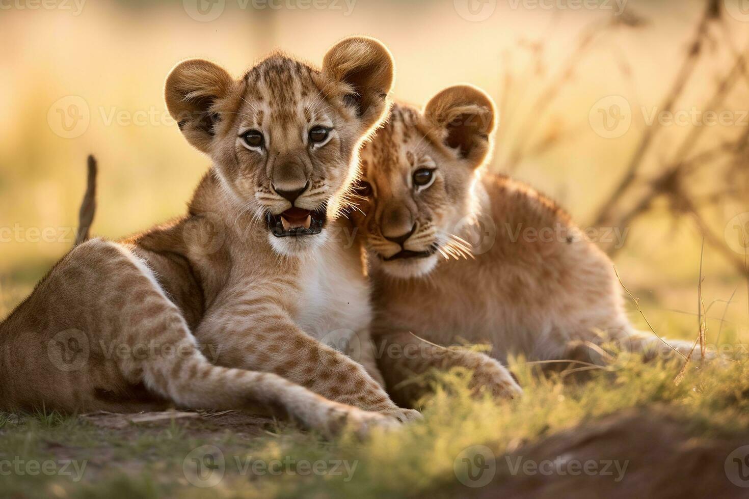 Lion cubs with mother in Masai Mara National Park. AI generative photo