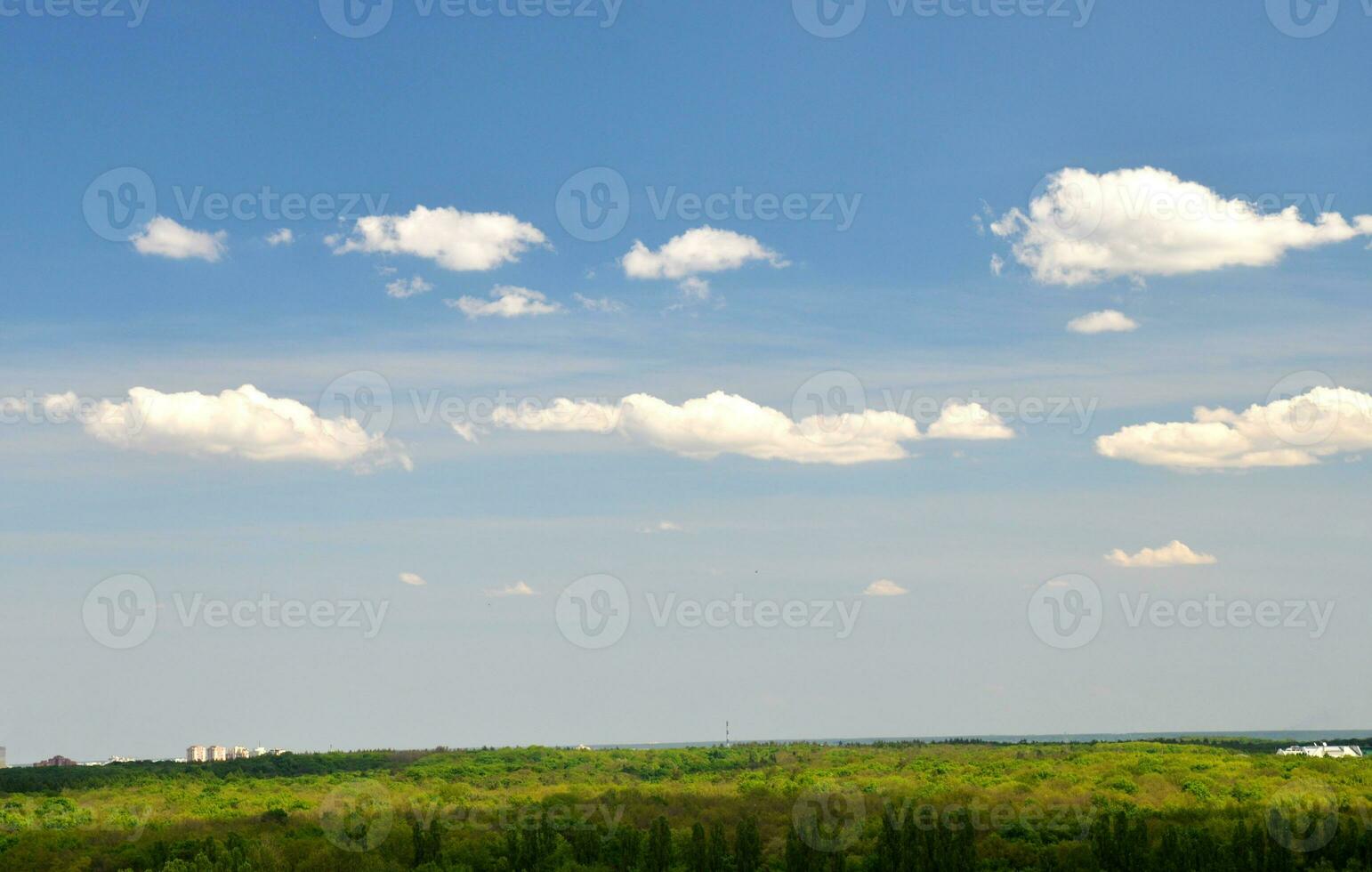 White clouds flying over green grass and trees photo