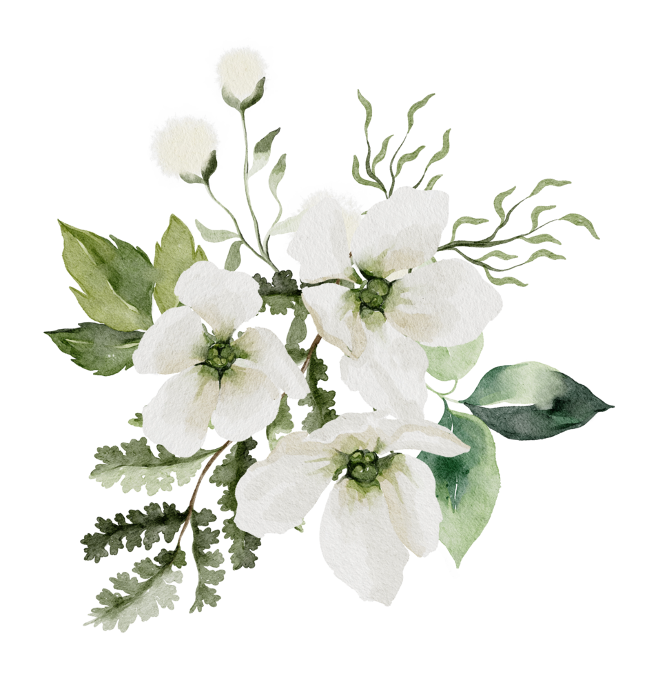 Watercolor greenery png 27394792 PNG