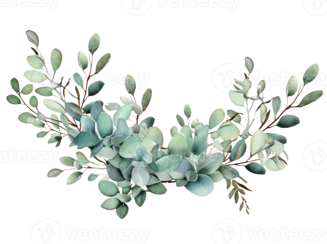 Eucalyptus leaves in watercolor isolated 27394947 PNG