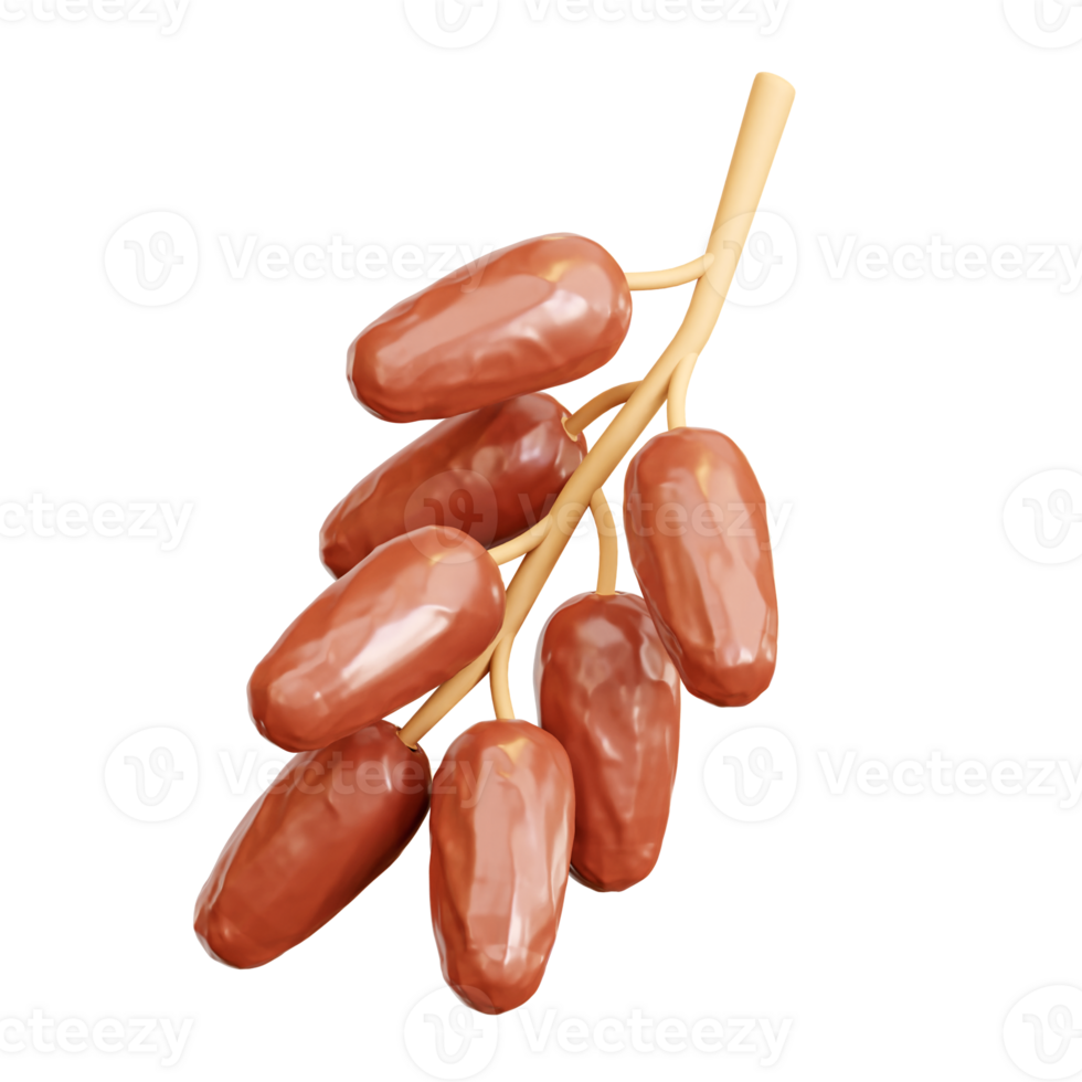 3d Dates Fruit on Branch png
