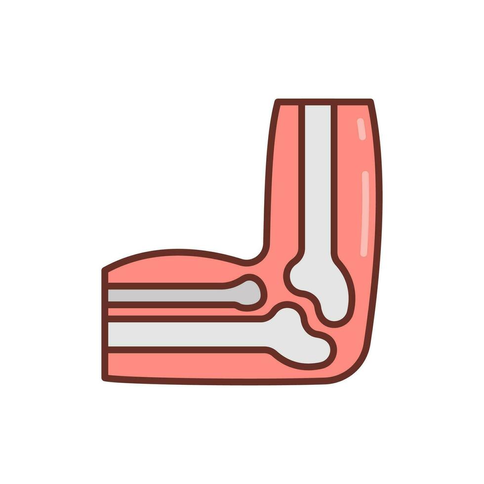 Elbow Bone icon in vector. Illustration vector