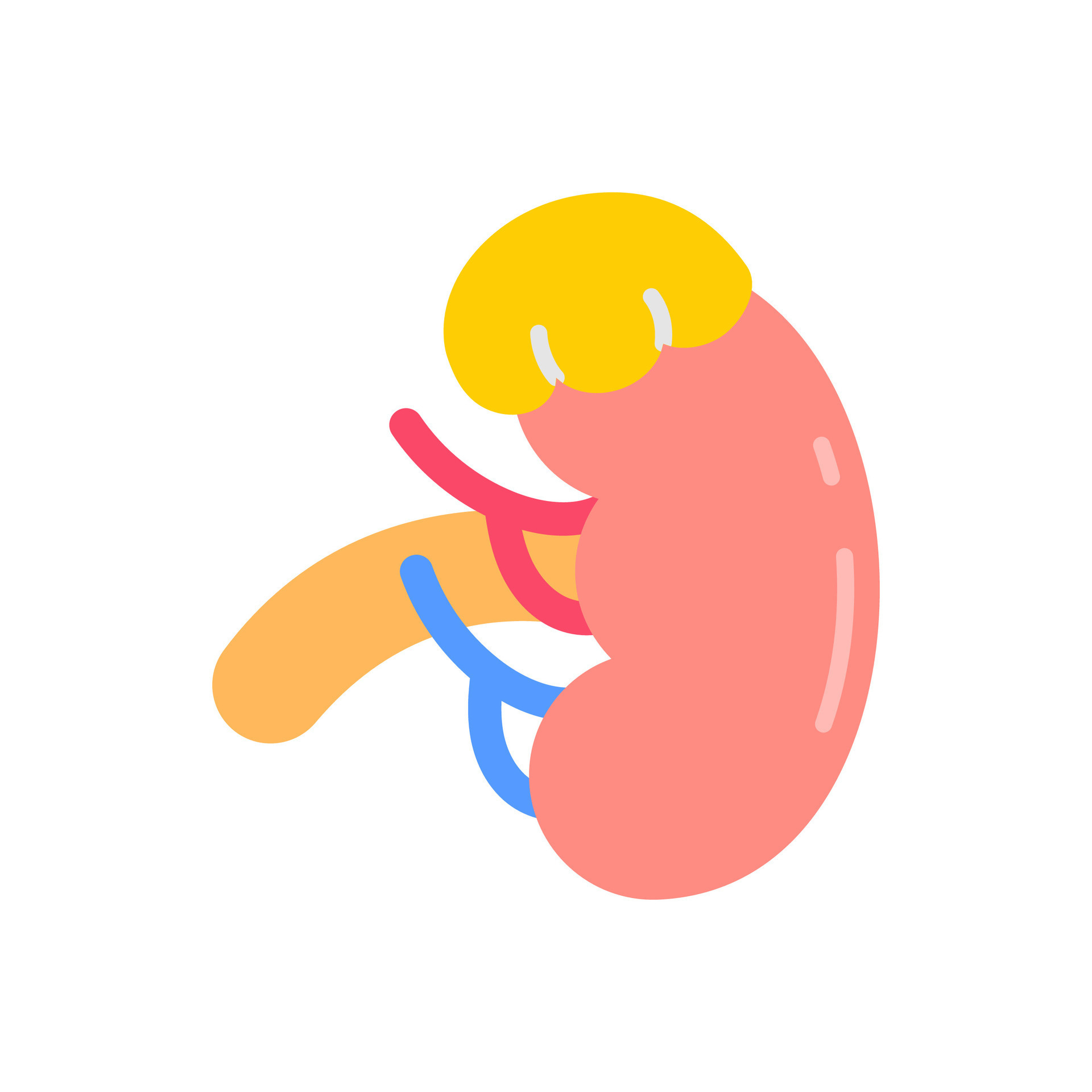 This Single Adrenal Gland Area Could Be Changing Your Life - qo2z8g8