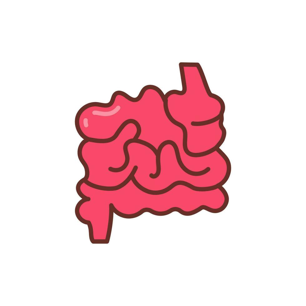 pequeño intestino icono en vector. ilustración vector