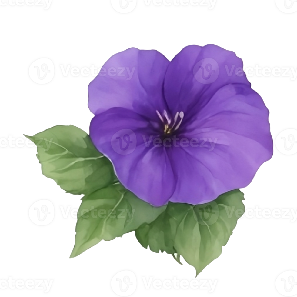 Purple or violet Morning glory flower clip art or sticker AI Generative png