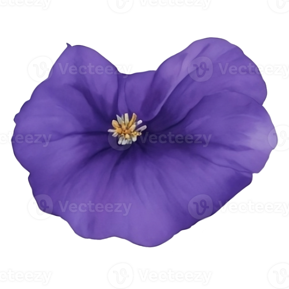Purple or violet Morning glory flower clip art or sticker AI Generative png