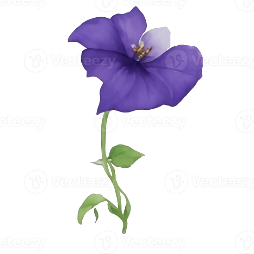 Purple or violet Morning glory flower clip art or sticker AI Generative png