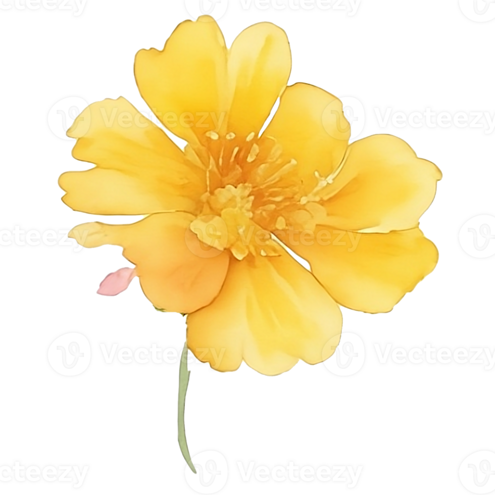 Yellow flower watercolor AI Generative png