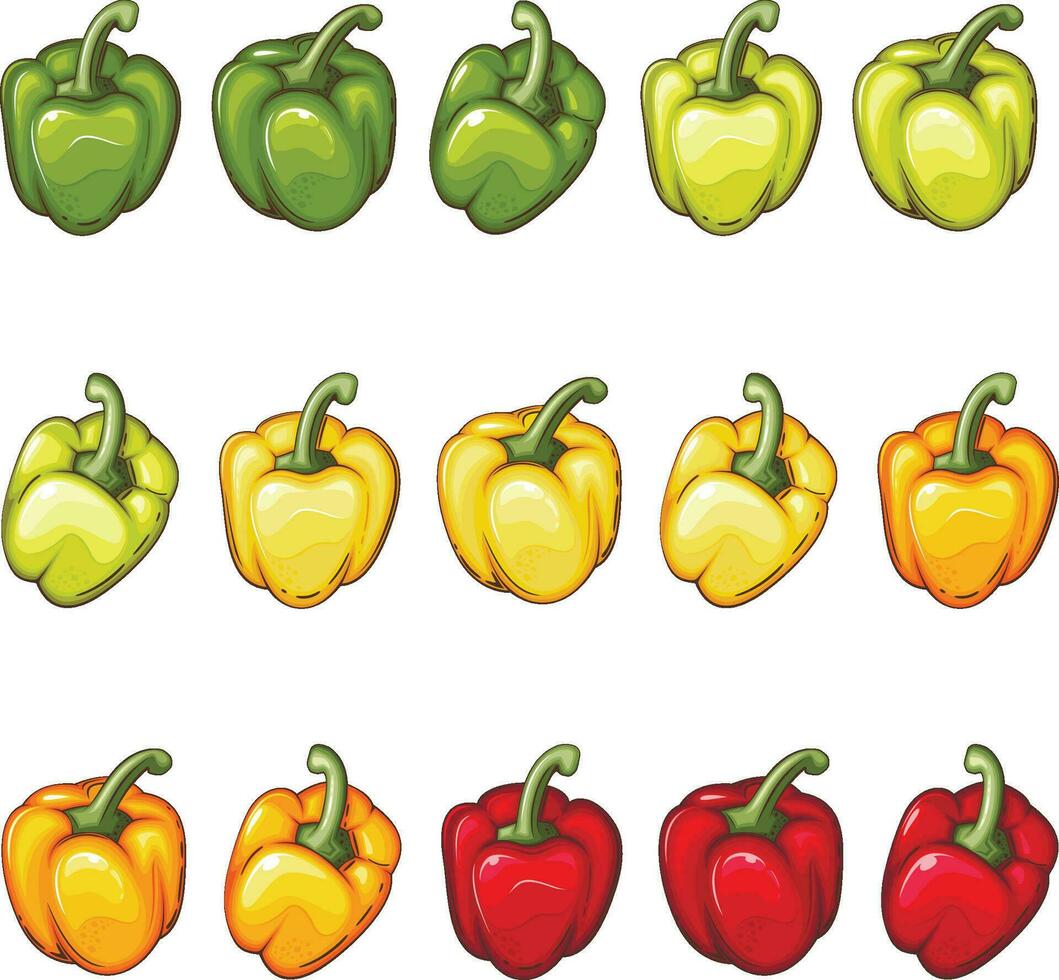 Fresh Vegetables Illustration,  Vegetables Mix vector