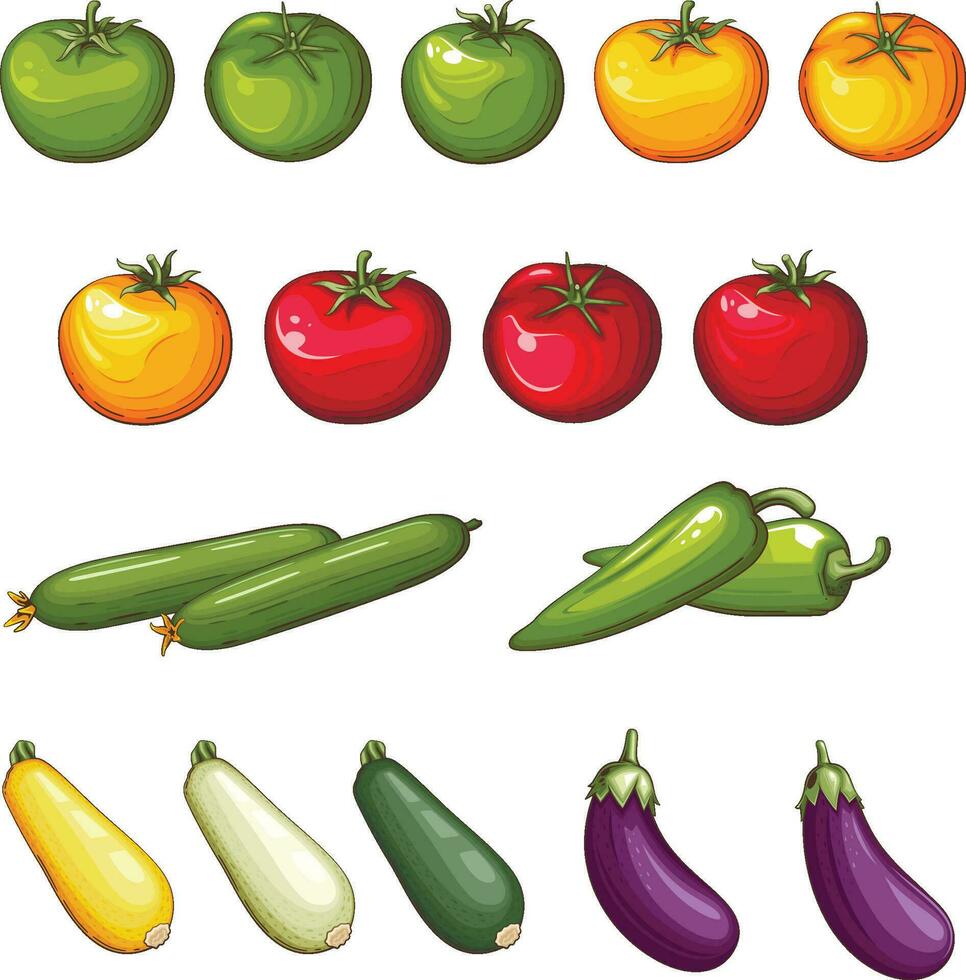 Fresh Vegetables Illustration,  Vegetables Mix vector