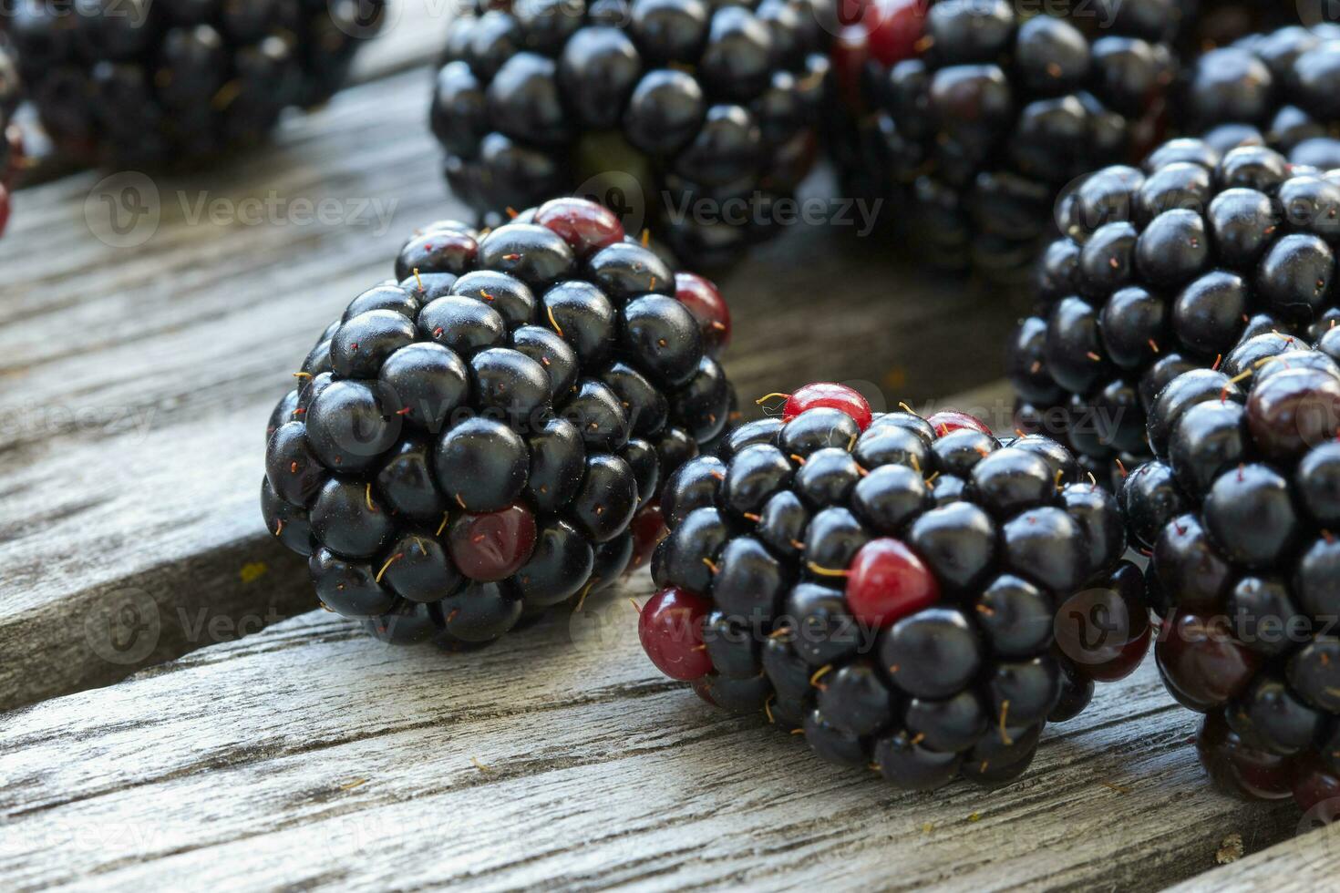 Blackberries close-up view photo