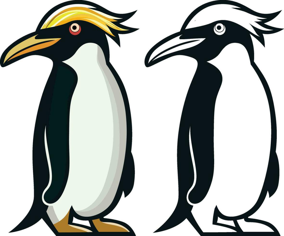 Macaroni penguin simple vector clip art, Eudyptes chrysolophus , seabird stock vector image