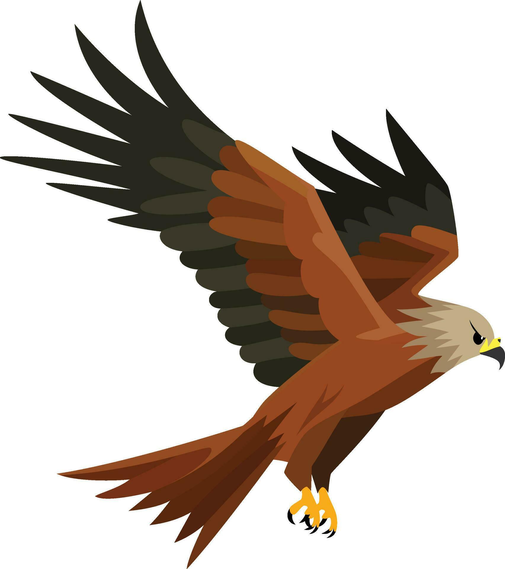 Red Kite Bird Rotmilan flat style vector illustration isolated on white
