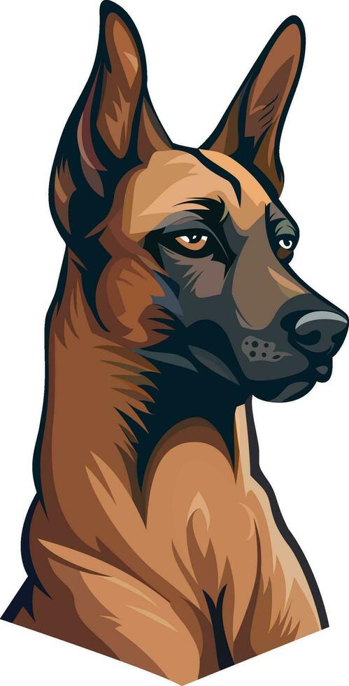 belgian malinois dog on alert vector illustration, Belgian Shepherd , Belgian Sheepdog  stock vector image, colored and black and white  image