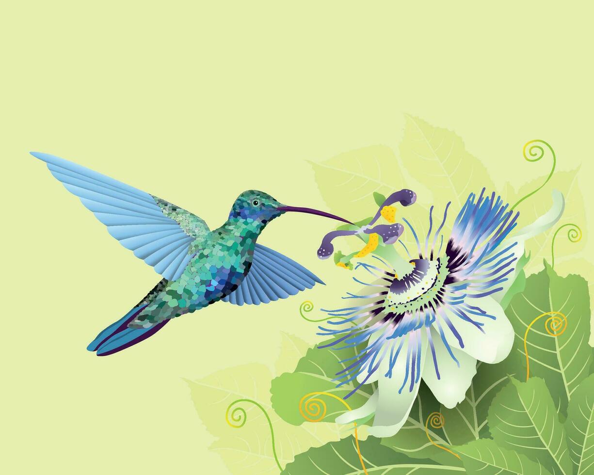 hummingbird feeding on passion flower on green leaves against pastel green background. Vector image