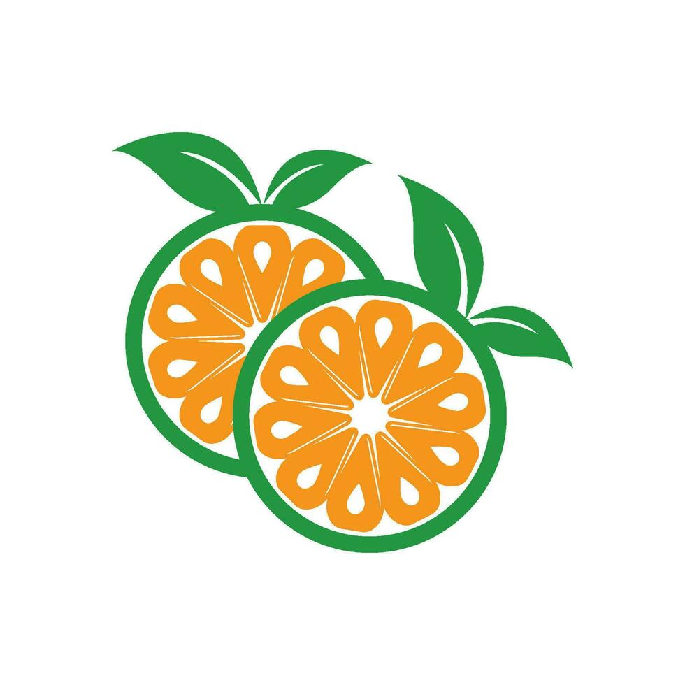 Orange fruit logo Vector illustration template design