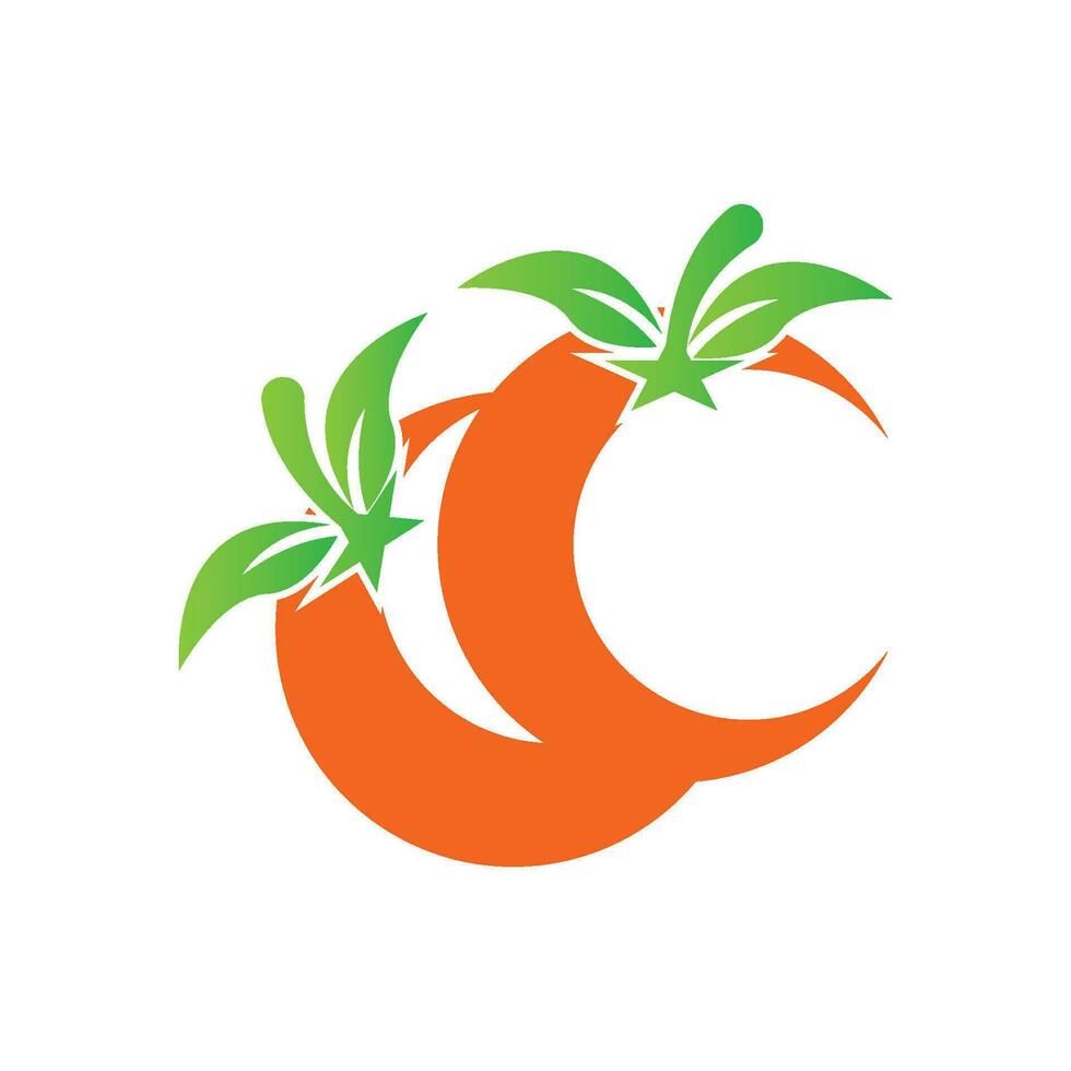 Orange fruit logo Vector illustration template design