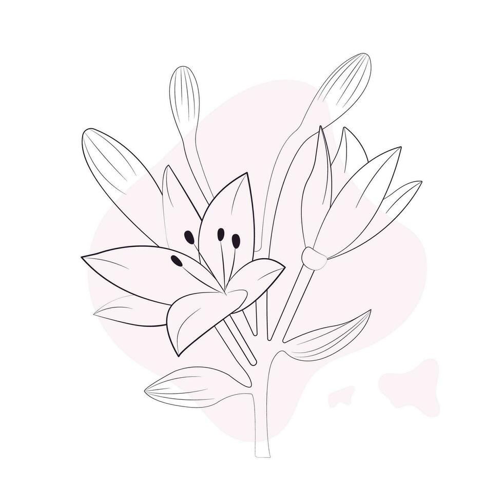 Floral background, flowers in thin lines, minimalistic lilies vector