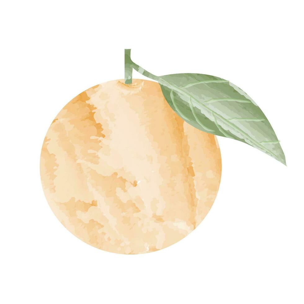 Orange, Malta with leaf made in flat style. Vector illustration in water color.logo,posterdesign.