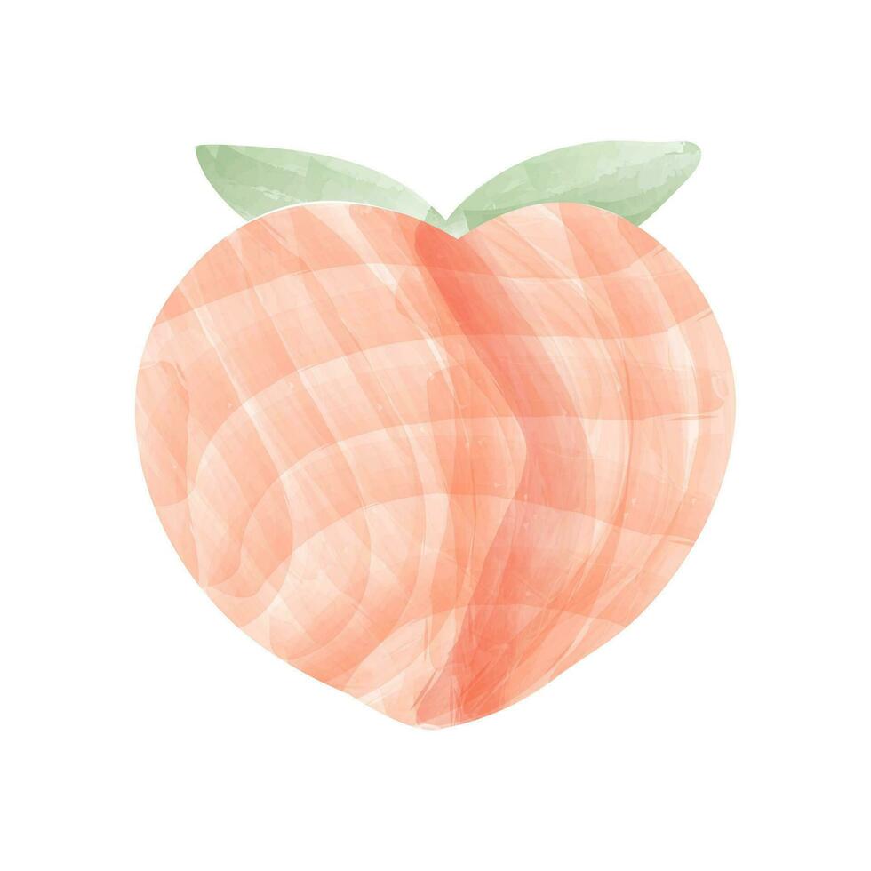 Peach with leaf made in flat style. Vector illustration in water color.logo,posterdesign.