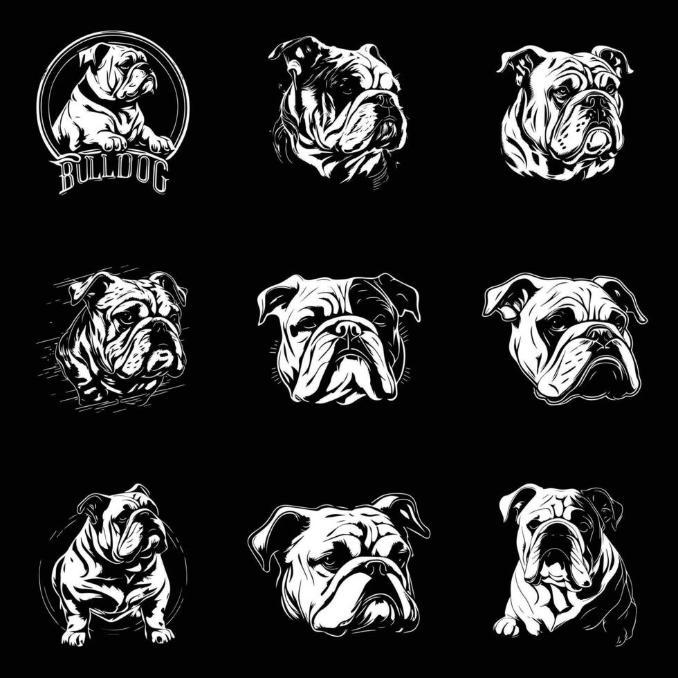 bulldog head logo design set vector