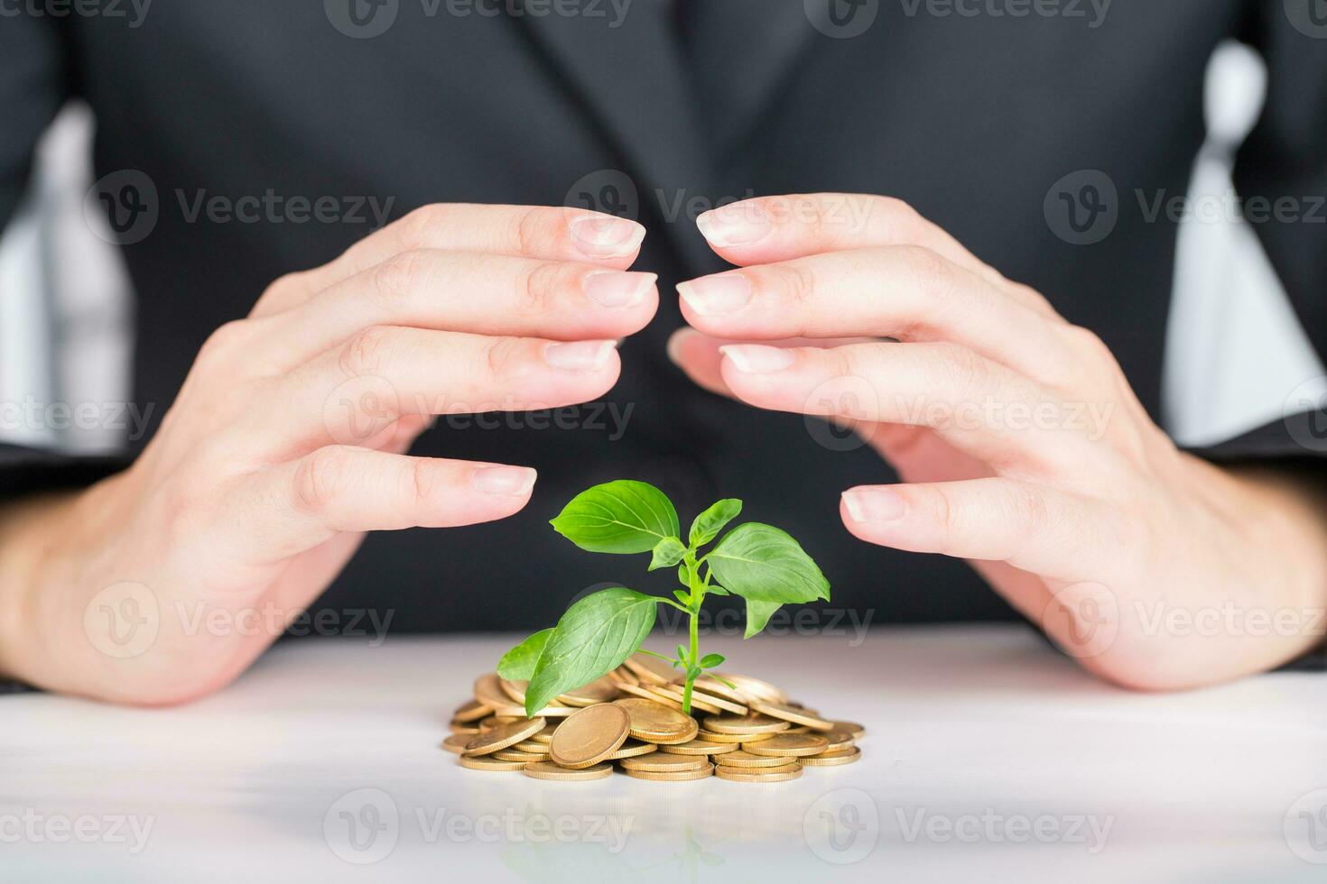Close up business hands save money to stack of tree on coins. photo