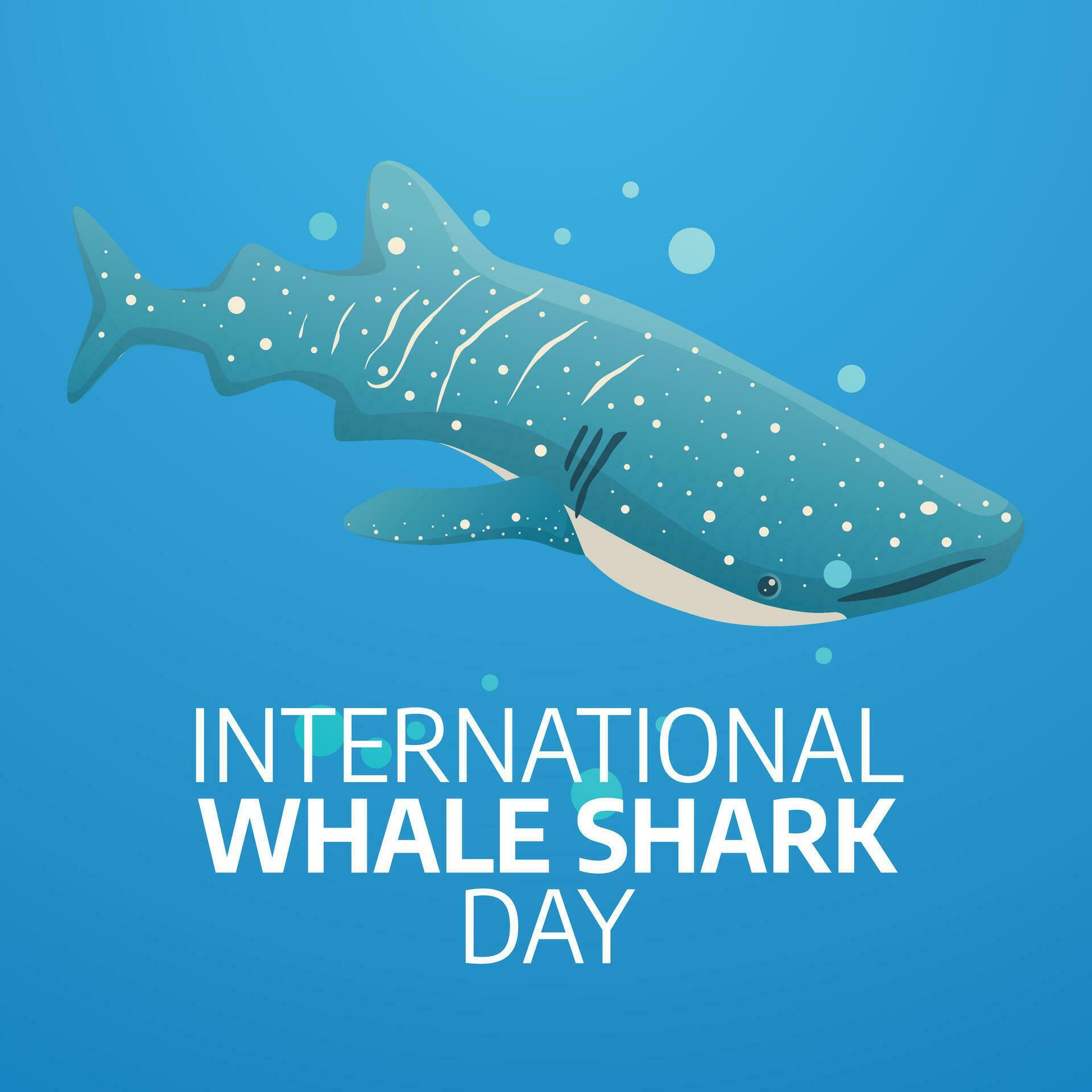vector graphic of International Whale Shark Day good for International
