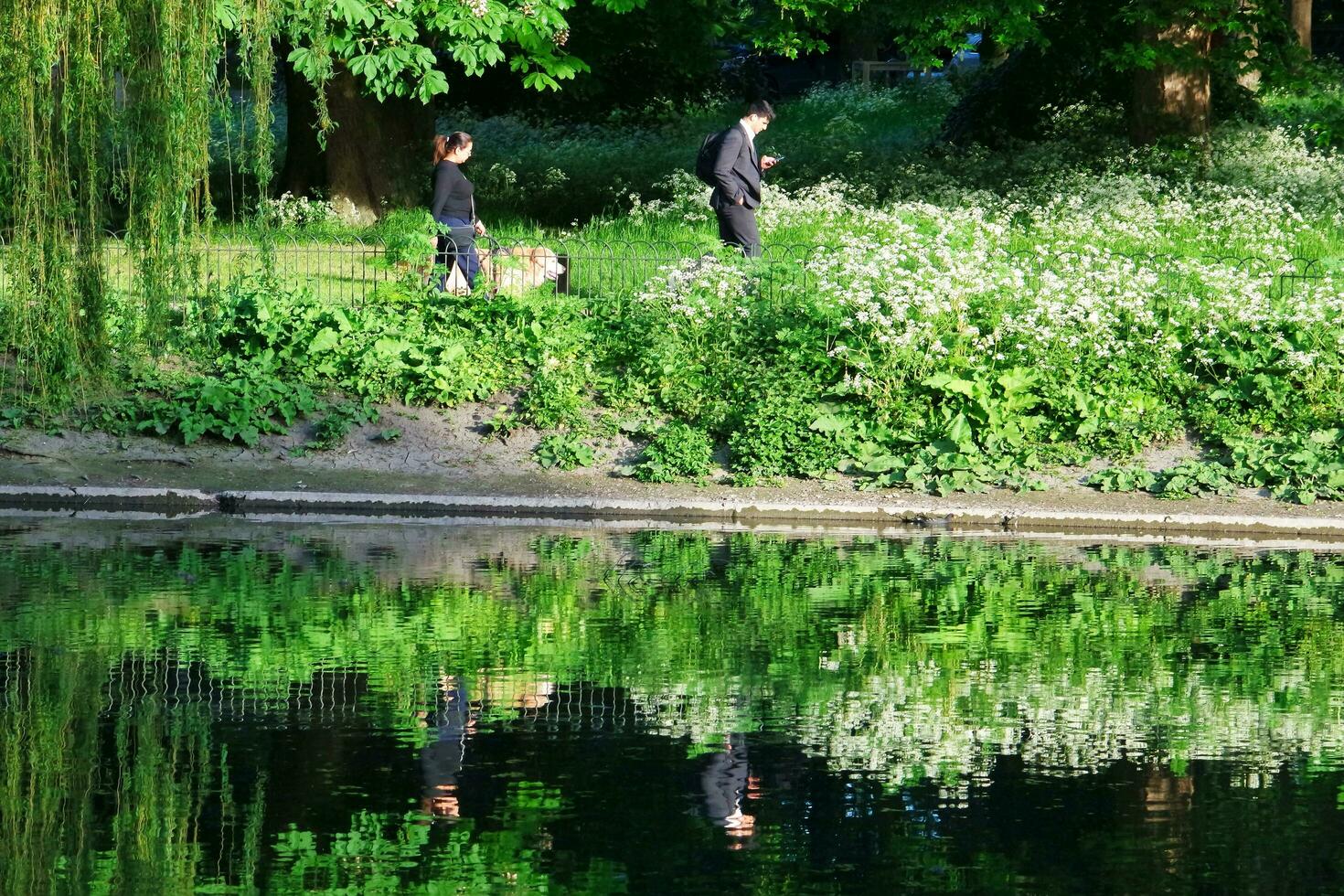 Beautiful Low Angle View of People are Enjoying the Starting of Summer at Wardown Public Park of Luton Town of England UK. The Footage Was Captured on Beautiful Day of April 22rd, 2023 photo