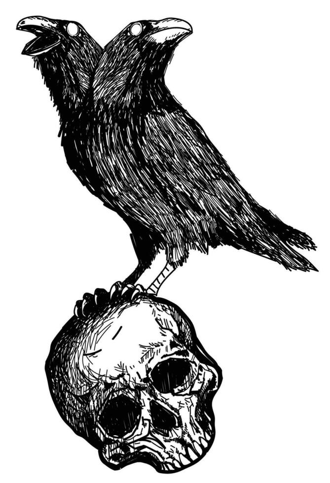 Tattoo art two-headed crow on skullhand drawing and sketch vector