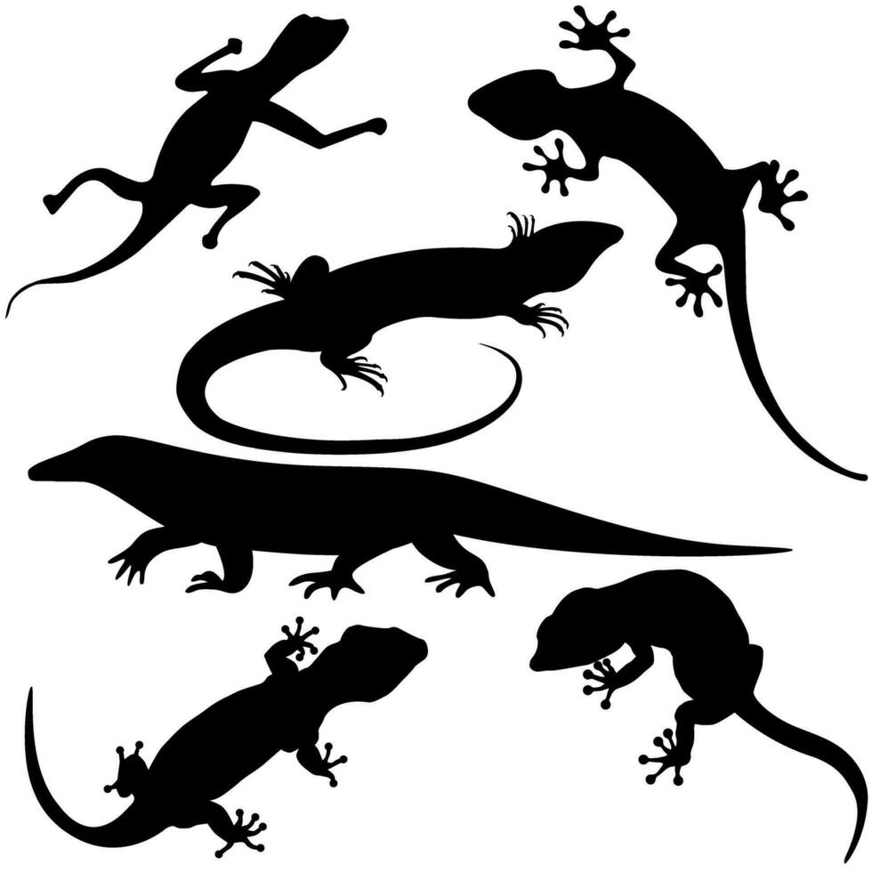 Lizard icon vector set. Reptile illustration sign collection. cold blooded symbol or logo.